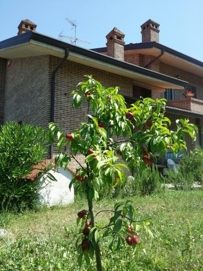 B&B Casa Dei Camini 班蒂沃里奥 外观 照片