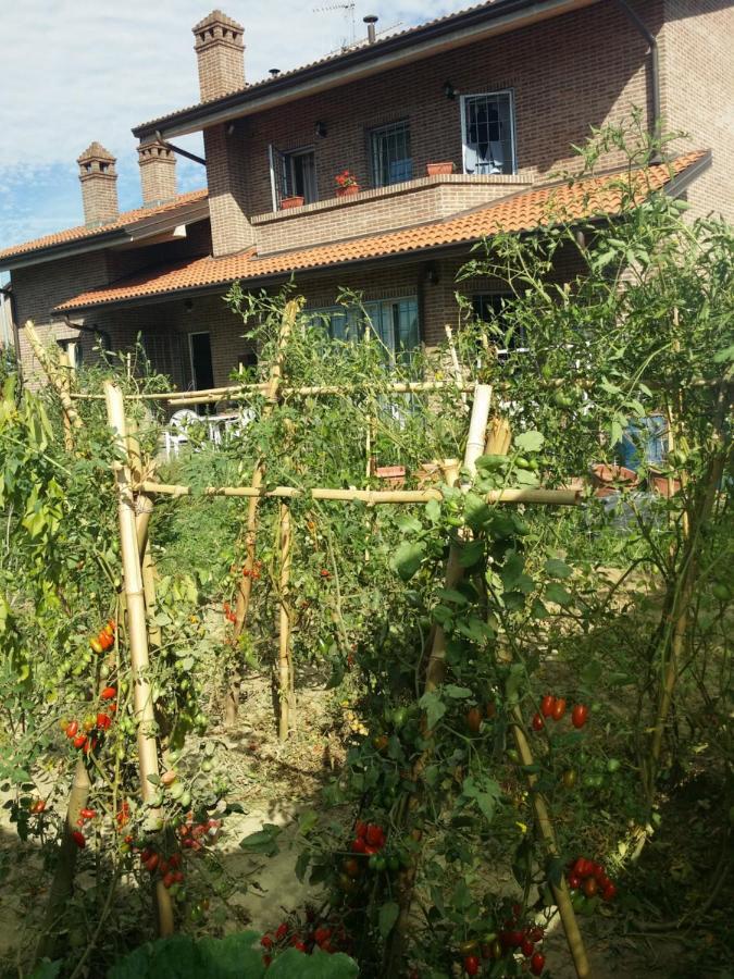 B&B Casa Dei Camini 班蒂沃里奥 外观 照片